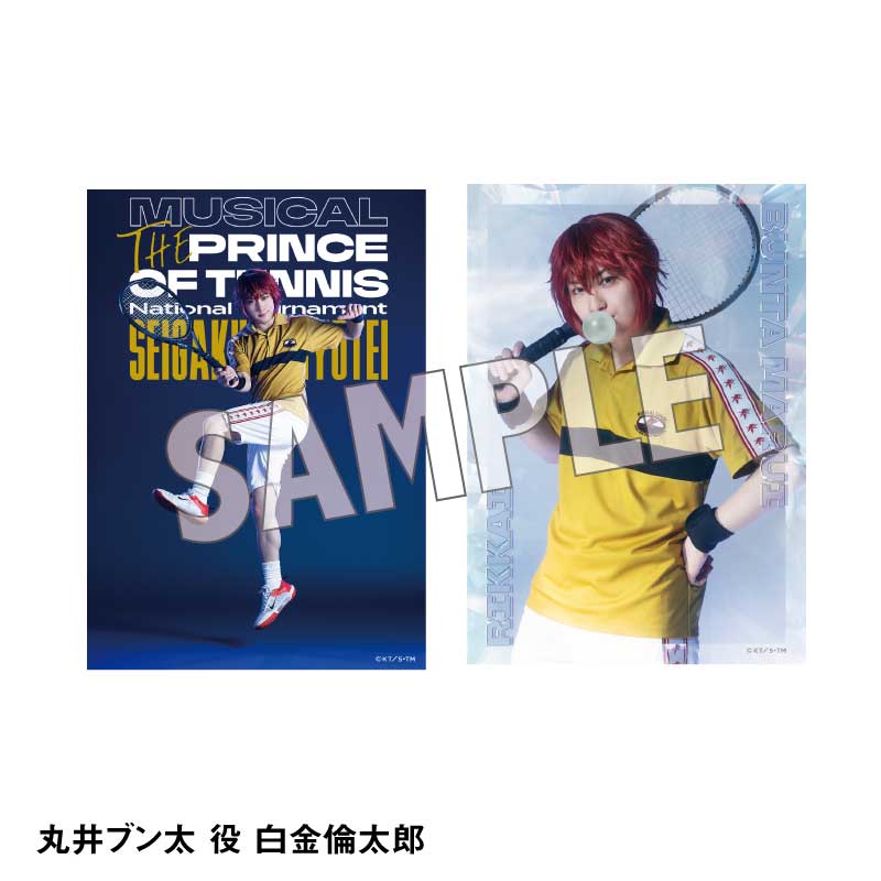 オリジナルブロマイド（ソロ）立海各種 – ミュージカル『テニスの王子