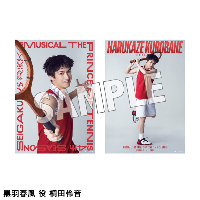 オリジナルブロマイド（ソロ）六角各種 – ミュージカル『テニスの王子