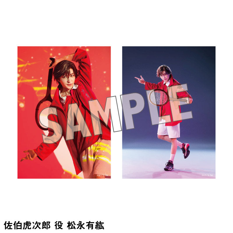 オリジナルブロマイド（ソロ）六角各種 – ミュージカル『テニスの王子