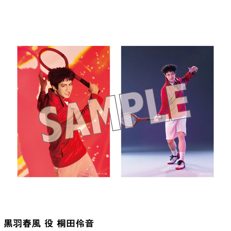 オリジナルブロマイド（ソロ）六角各種 – ミュージカル『テニスの王子