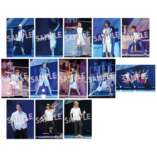 オリジナルランダムステージブロマイド 青学(せいがく)&比嘉(全13 オリジナルランダムステージブロマイド 青学(せいがく)&比嘉(全13