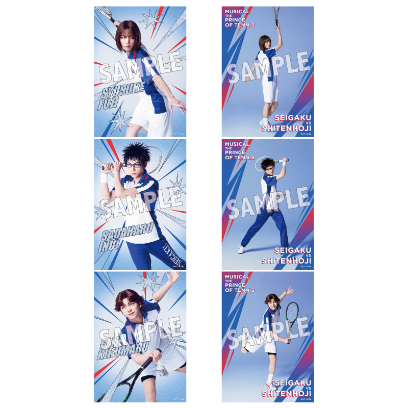 オリジナルブロマイドチームセット青学（せいがく）10セット入り