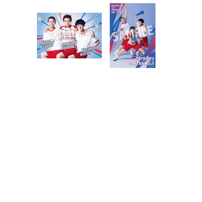 オリジナルブロマイドチームセット青学（せいがく）10セット入り