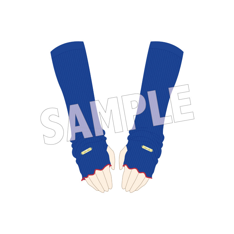 アームウォーマー 青学（せいがく）