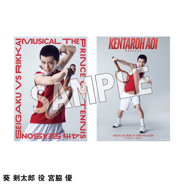 オリジナルブロマイド（ソロ）六角各種 – ミュージカル『テニスの王子